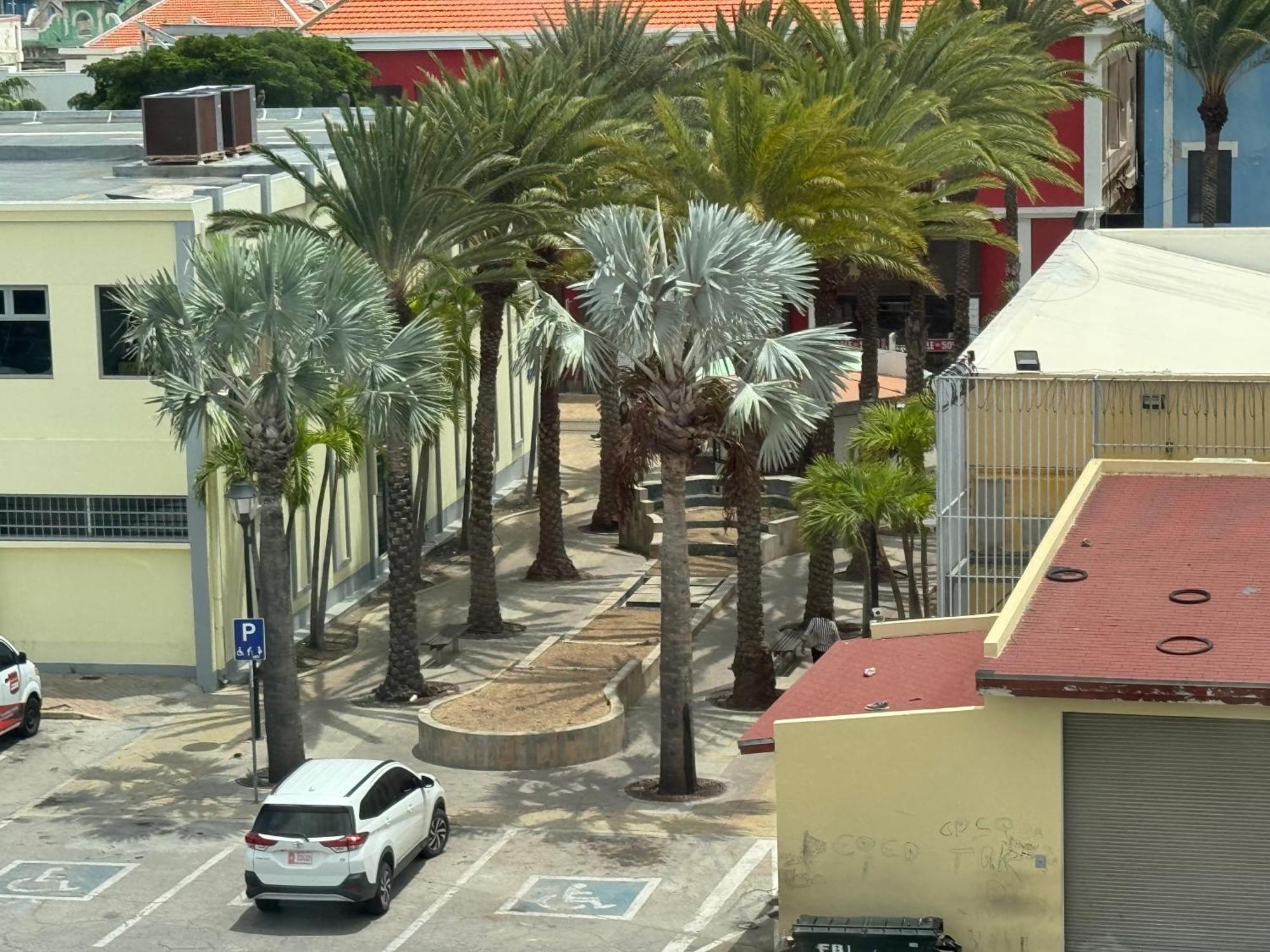 Central Boutique Hotel Oranjestad Eksteriør billede